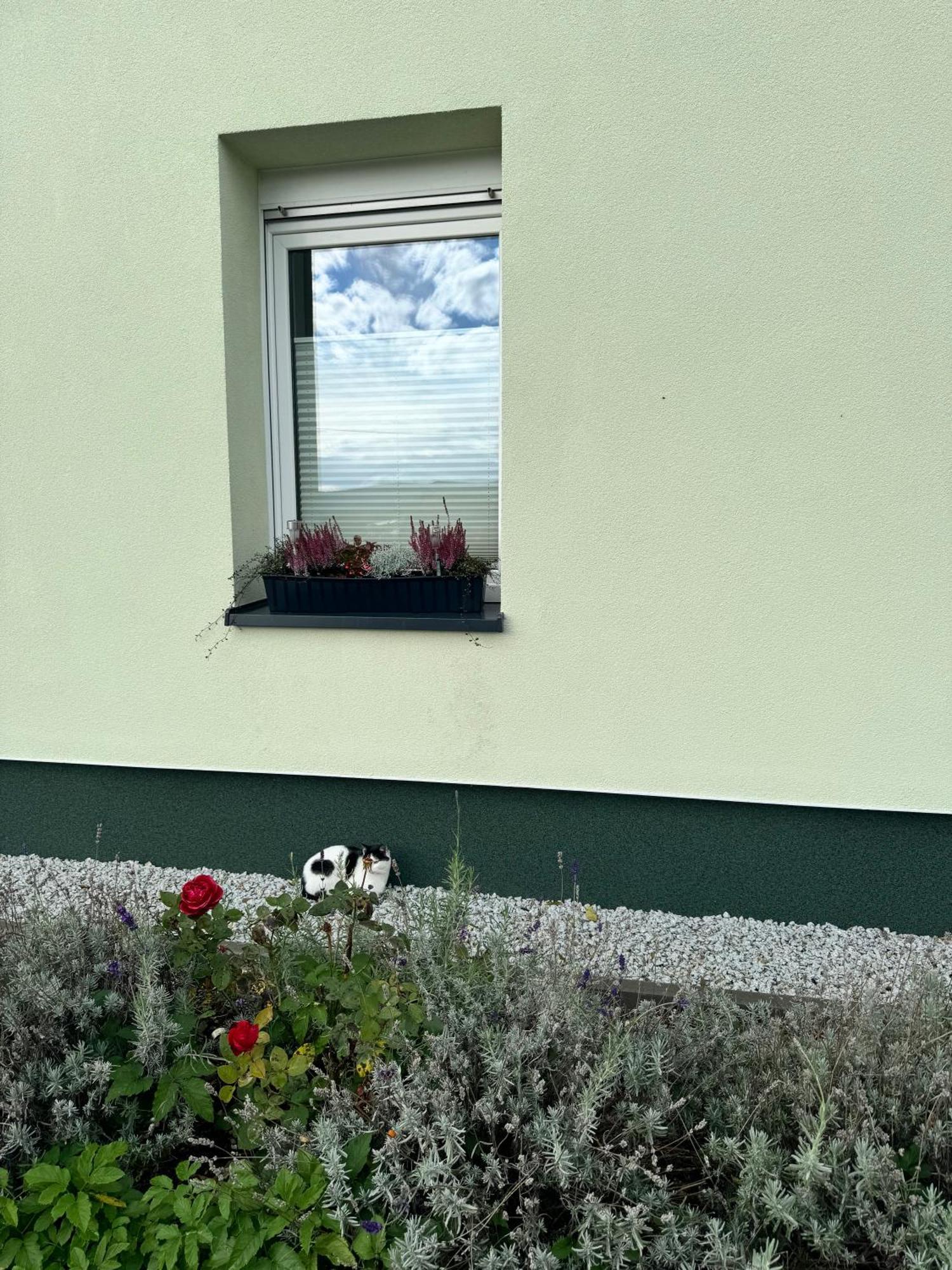 Apartament Viridi Radomierz Zewnętrze zdjęcie